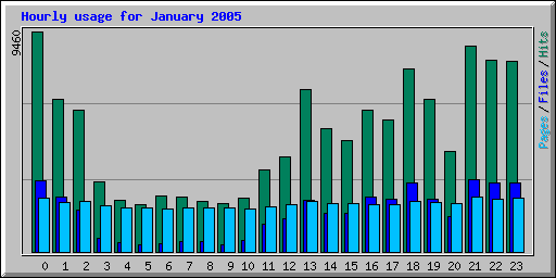January 2005 hourly usage at Network Chico