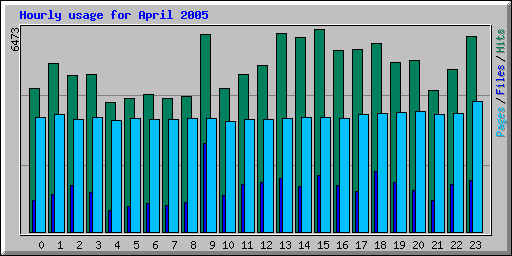 April 2005 hourly usage statistics at Network Chico