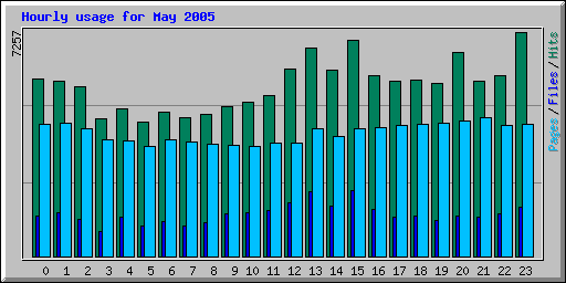 May 2005 hourly usage statistics for Network Chico