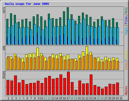 June 2005 daily usage statistics for Network Chico