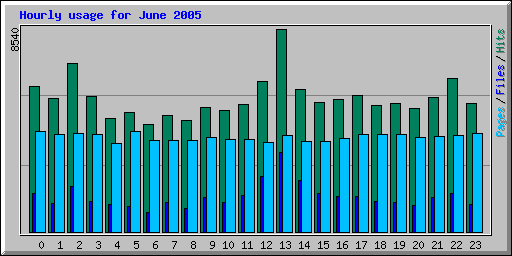 June 2005 hourly usage statistics for Network Chico