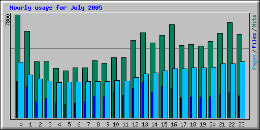 July 2005 hourly usage statistics for Network Chico