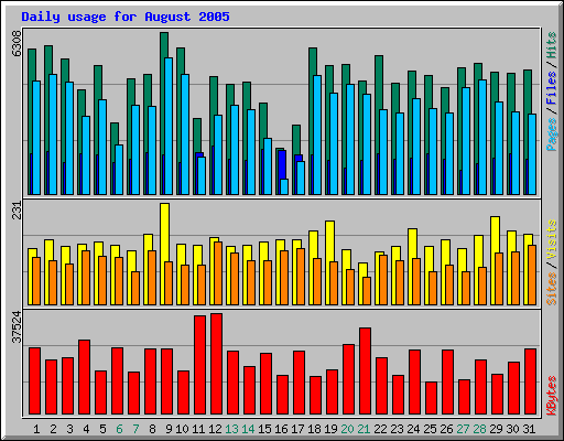 August 2005 daily usage statistics for Network Chico