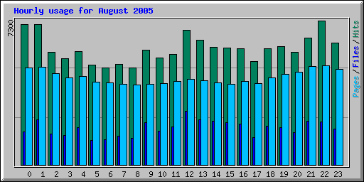 August 2005 hourly usage statistics for Network Chico
