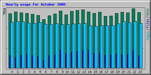 October 2005 hourly usage statistics for Network Chico