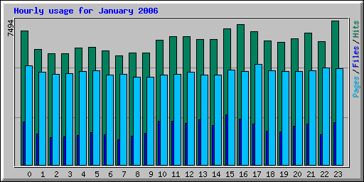 January 2006 hourly usage statistics for Network Chico