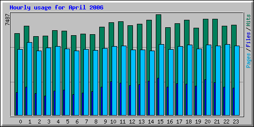 April 2006 hourly usage statistics for Network Chico